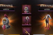 刺激战场中的“神奇鸡”（解密游戏中鸡的各种功能和用途）