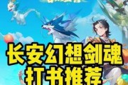 长安幻想剑魂打书神宫攻略是什么？