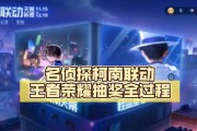 王者荣耀抽奖码如何使用？使用过程中应注意什么？