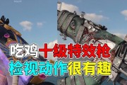 绝地求生中枪皮特效如何设置？设置枪皮特效的步骤是什么？