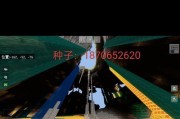 我的世界中查看种子的方法是什么？种子有什么用？