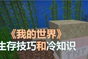 我的世界飞翔下降技巧是什么？如何控制飞翔时的下降？