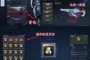 逆战武器挂件饰品使用方法是什么？如何正确搭配？
