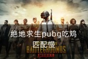 绝地求生匹配队友的策略是什么？如何快速找到合适的队友？