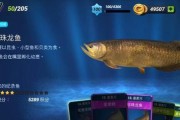 钓鱼大对决（游戏中化身钓鱼高手）