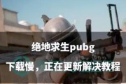 绝地求生中“小小只”玩法的策略是什么？