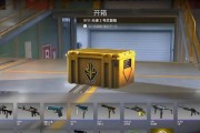 反恐精英中角色卡顿问题如何解决？