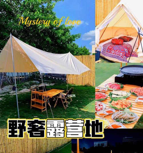 《解密杀人游戏——谋杀之谜篝火迷踪攻略》（揭秘破案技巧）