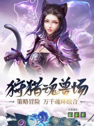 斗罗大陆（掌握武魂觉醒技巧）