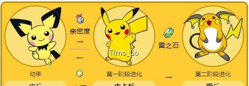 口袋妖怪之鼠类宝可梦剖析
