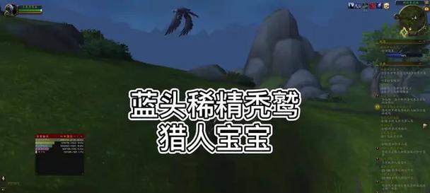 秃鹫稀有精英的获取方法是什么？需要哪些步骤？