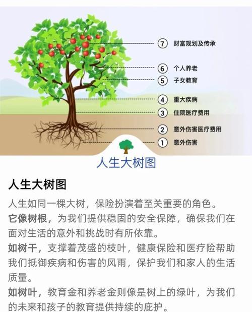 老木子获取途径是什么？需要哪些条件？