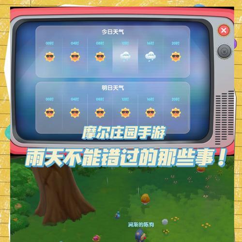 摩尔庄园上午下雨如何应对？雨天活动有哪些？