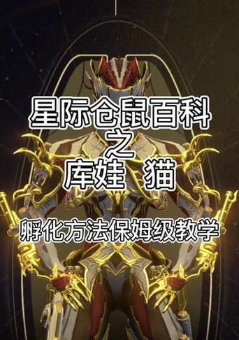 星际战甲宠物互动球获取途径是什么？