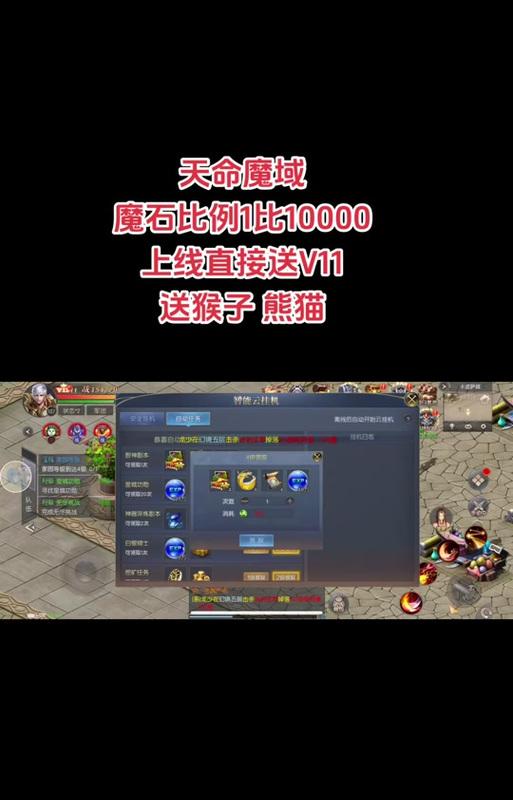 魔域猫属性转换的最佳方法是什么？