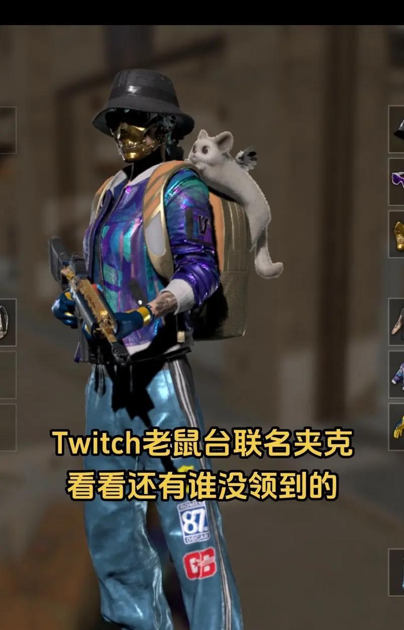 绝地求生夹克带领使用技巧有哪些？如何搭配使用？