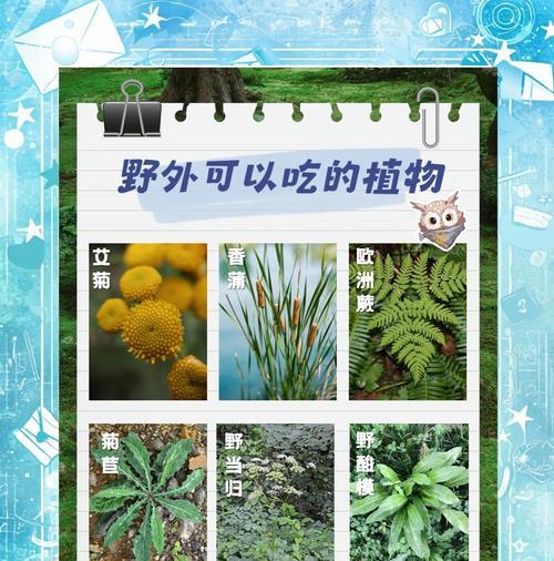 绝地求生中小小植物的应对策略是什么？