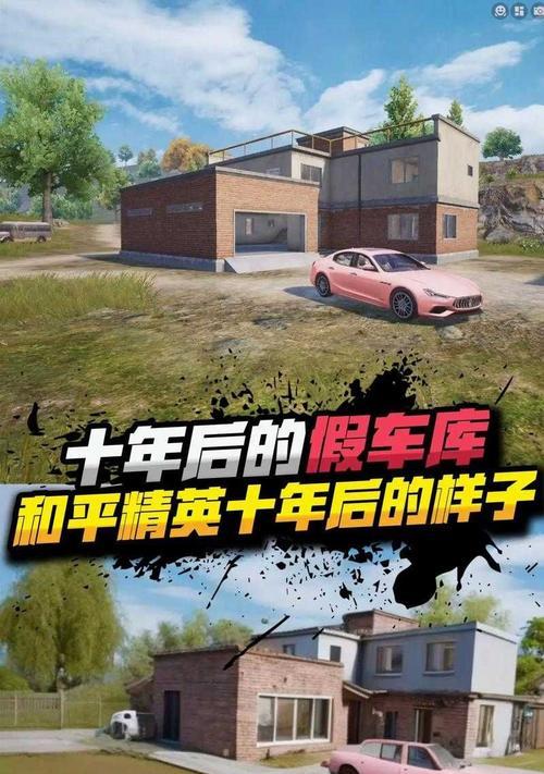 绝地求生中小小植物的应对策略是什么？