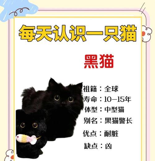 王者荣耀黑猫获取途径有哪些？黑猫有什么特殊技能？