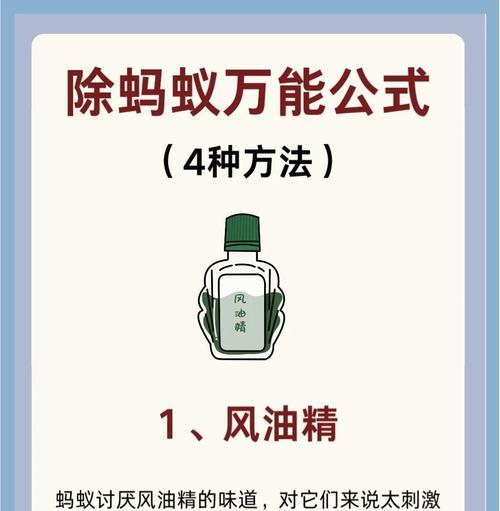 控制蚂蚁的技巧是什么？
