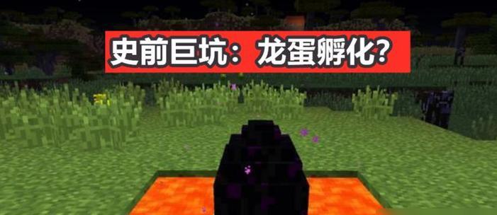 我的世界斗士孵化方法是什么？孵化斗士需要哪些条件？