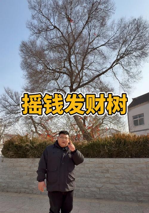 摇钱树掉落几率计算方法是什么？