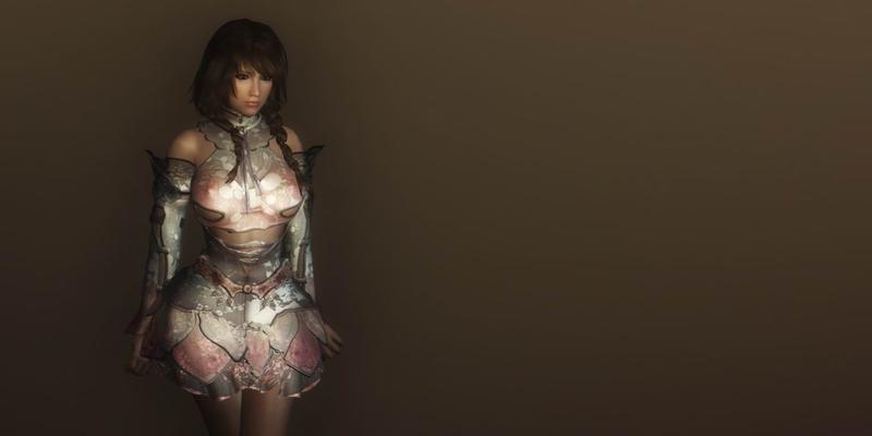 上古卷轴5（掌握幻影战士技巧）