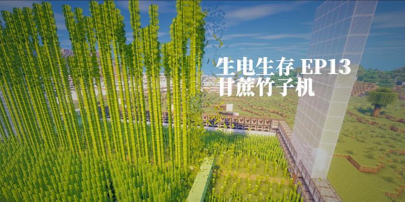 我的世界中竹子如何种植？种植竹子的技巧有哪些？