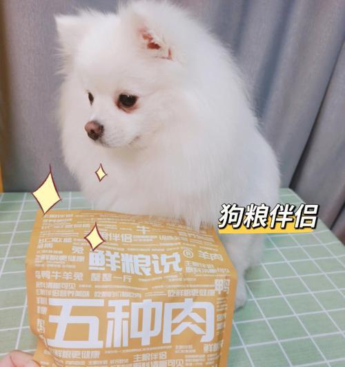 云梦四时歌狗粮速刷方法大揭秘（轻松获取狗粮）