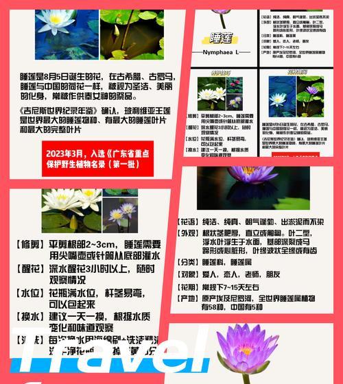 我的世界睡莲的神奇功能（睡莲的作用介绍及如何使用）