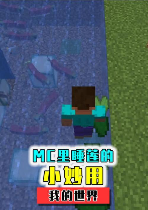 我的世界睡莲的神奇功能（睡莲的作用介绍及如何使用）